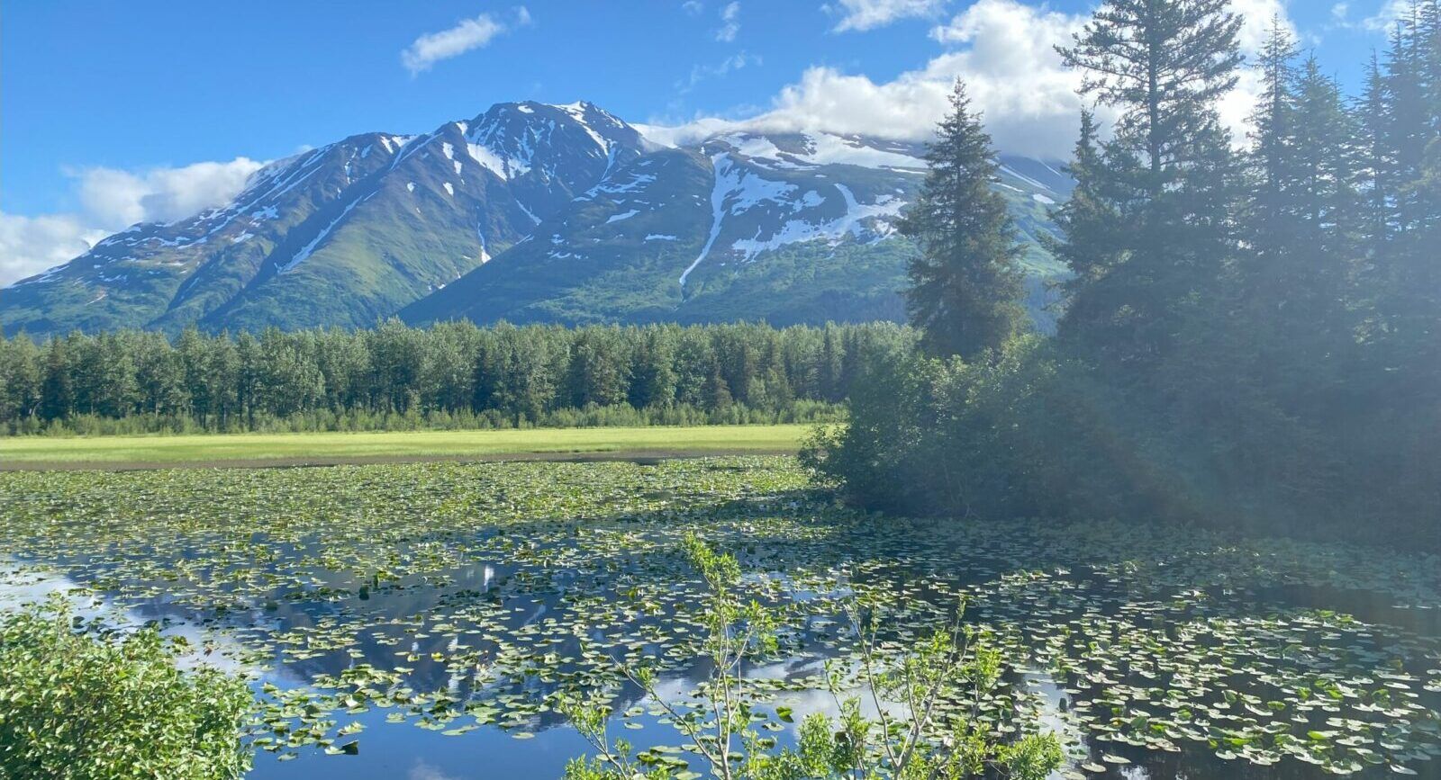 Scenic mountain reflected in a pond with lily pads on a sunny day in Alaska