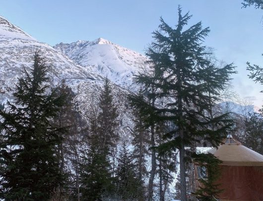 Moose Pass Adventures Winter Yurt Camp on Grant Lake The Nellie